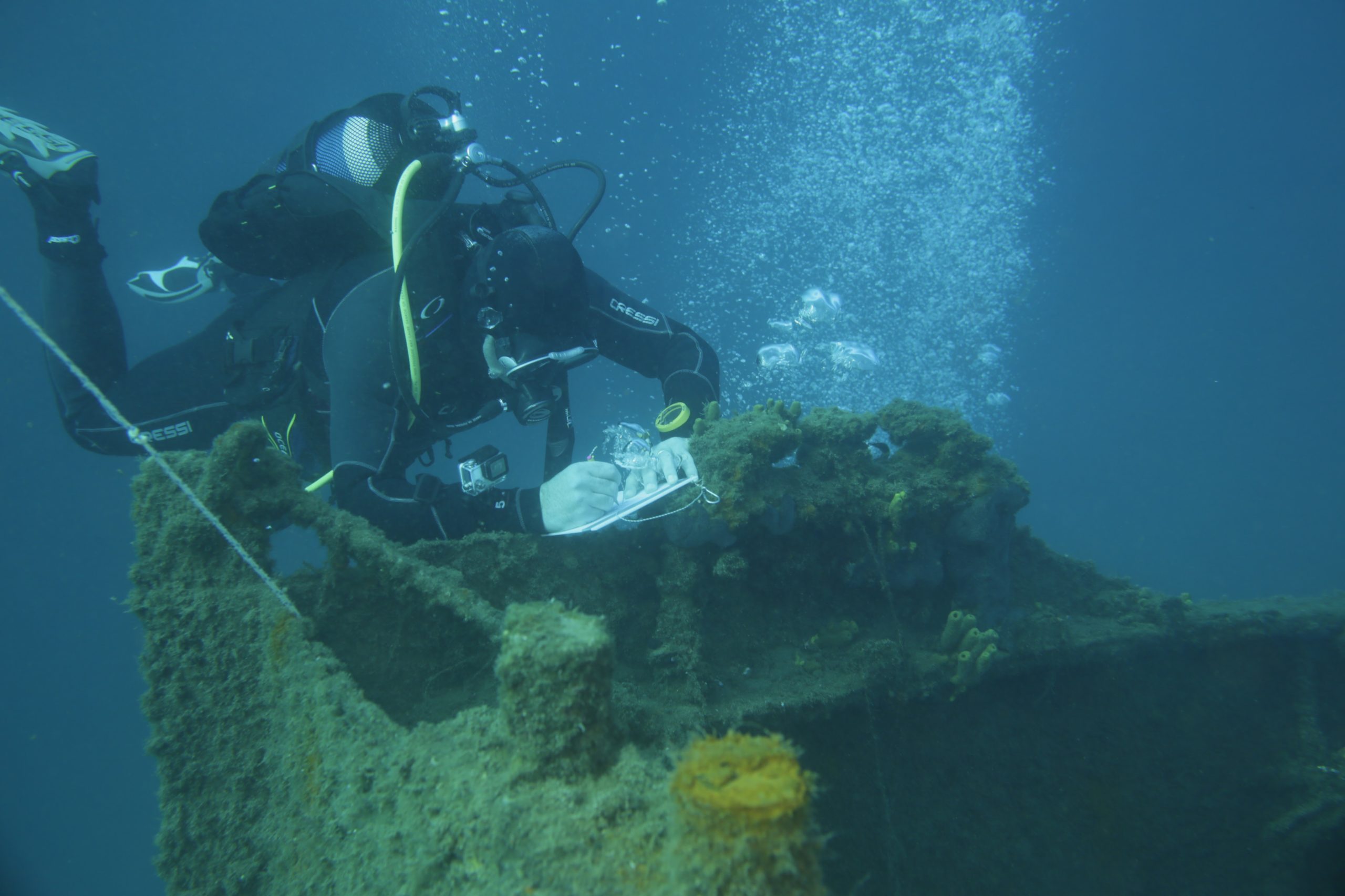 Diving as a Scientist: Training, Recognition, Occupation – The “Science Diver” Project