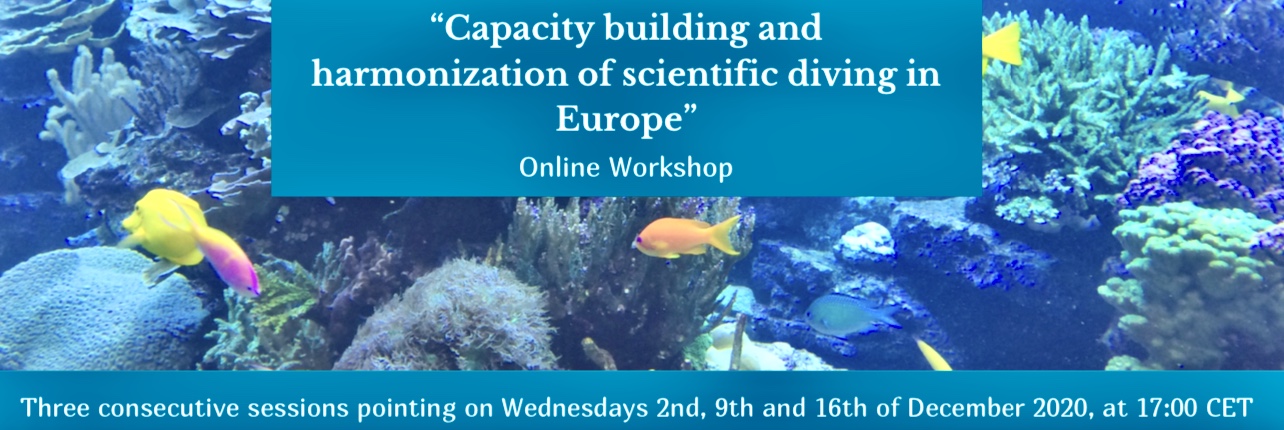 Capacity building and harmonization of scientific diving in Europe: Follow up and steps ahead